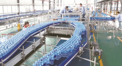 喜報！大豐榮登第二批國家全域旅游示范區名單，擘畫文旅發展新藍圖